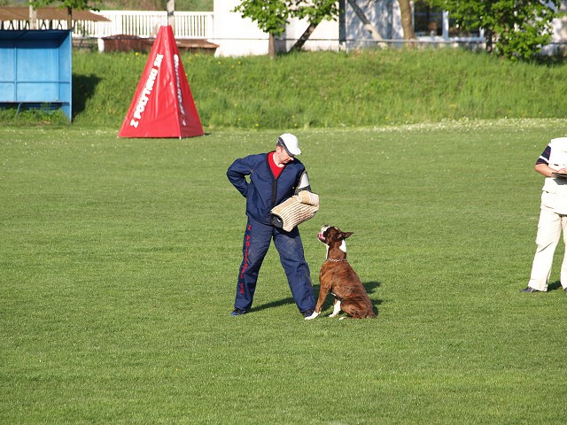 www.atibox.net * www.euroboxer.eu * www.boxergenealogia.eu